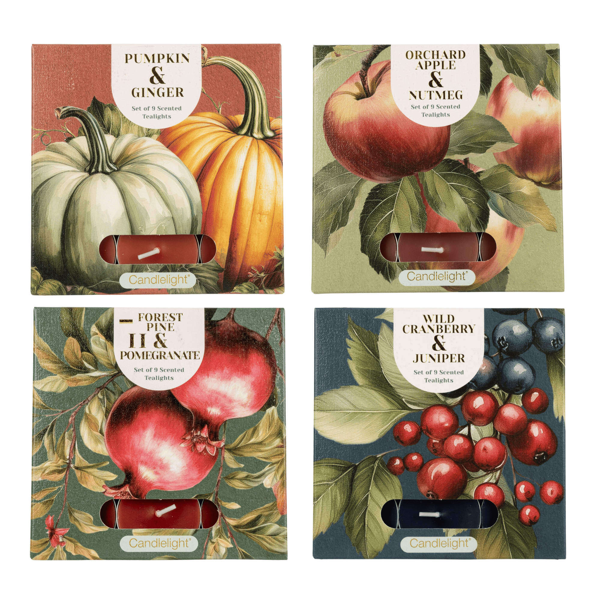 Candlelight Set of 9 Tealights Autumn Winter Collection
