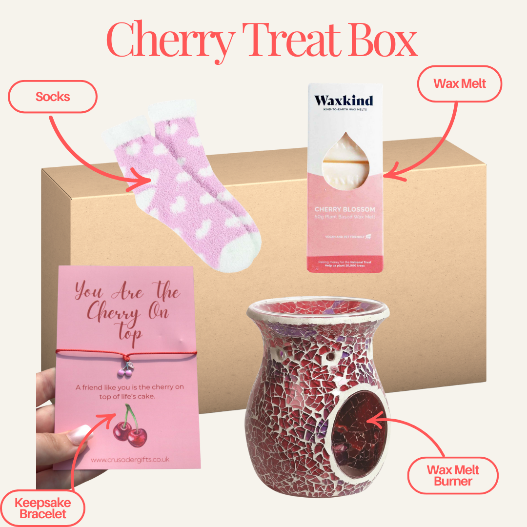 You Are The Cherry On Top Crimson Wax Melt Burner Gift Set Treat Box Labelled