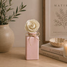 Pink Pastel Reed Diffuser Gift Set With Reeds & Plate - Pink Grapefruit & Lily Fragrance